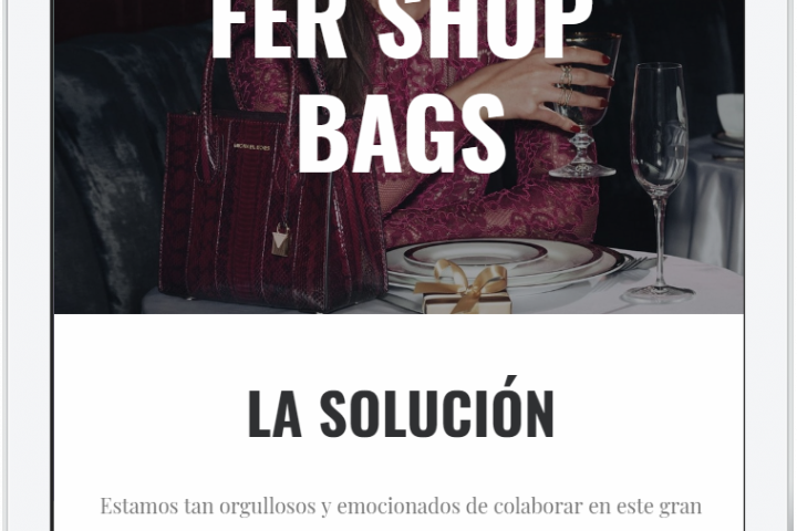 fer-shop-bags