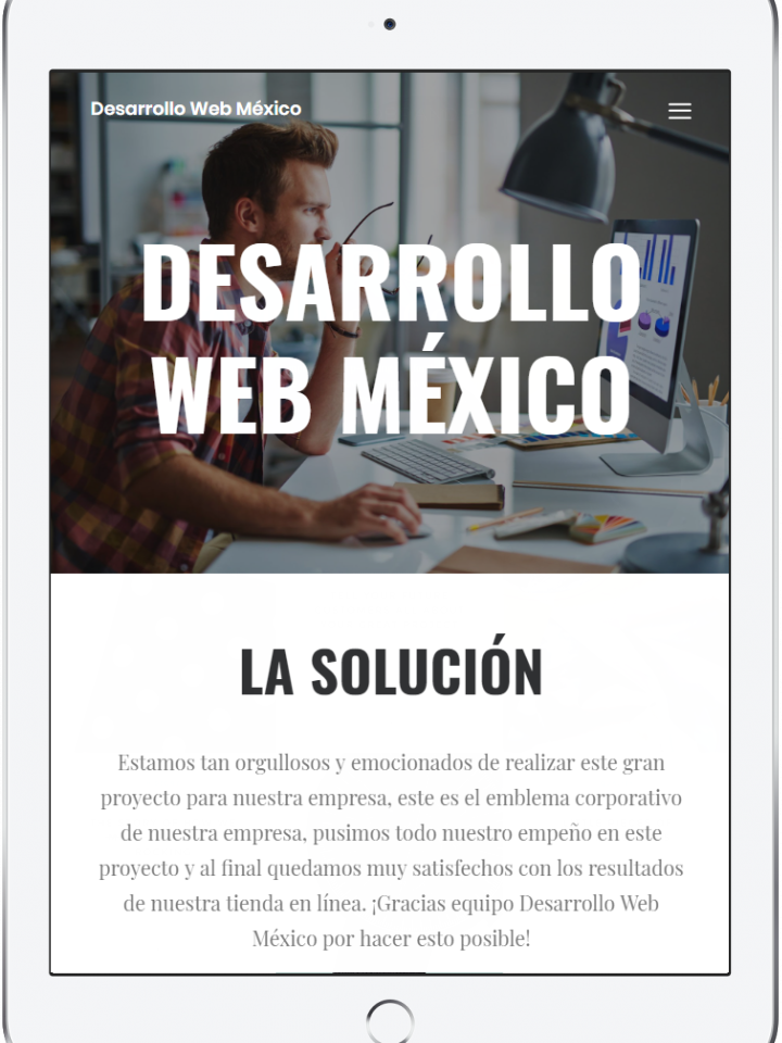 desarrollo-web-méxico